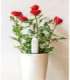 Xiaomi Mi Flower Care Plant Sensor