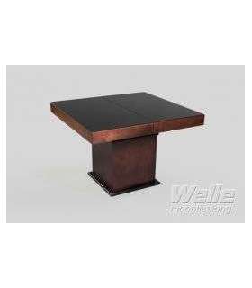 Laud-transformer 302SJ