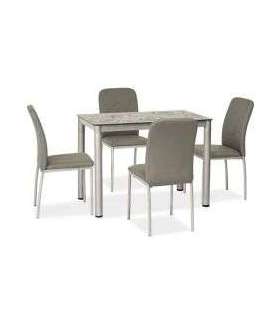 SÖÖGILAUD DAMAR 100X60 hall