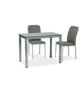 SÖÖGILAUD GALANT 100x60 hall