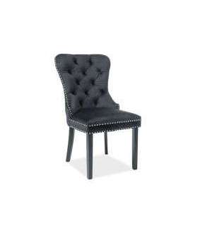 Tool August velvet must