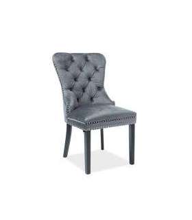 TOOL AUGUST VELVET hall