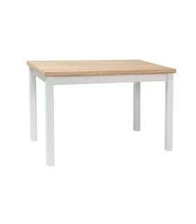 Söögilaud ADAM 100x60 tamm/valge