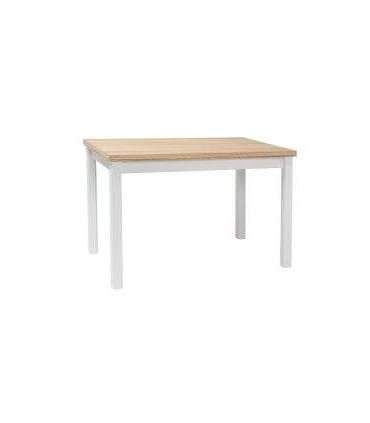 Söögilaud ADAM 100x60 tamm/valge