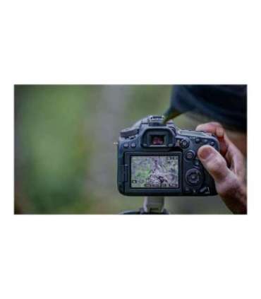 Canon SLR Camera Body Megapixel 32.5 MP ISO 25600 Display diagonal 3 " Wi-Fi Video recording APS-C Black