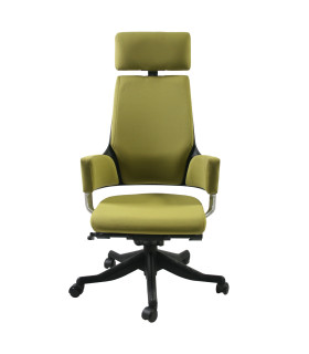 Töötool DELPHI oliiviroheline