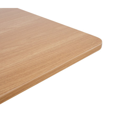 Lauaplaat ERGO 120x60cm, tamm