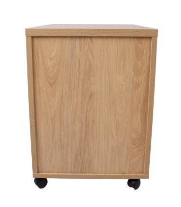 Sahtliboks ERGO 60x43xH60cm, hikkoripuu