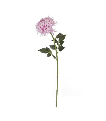 Krüsanteem IN GARDEN, H76cm, roosa