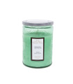 Свеча в стеклянной банке ROMANTIC TIMES, D8xH11см, с крышкой, зеленая, (аромат - лимонная трава)