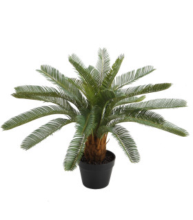 Искусственное растение CYCAS H70см, чёрный горшок