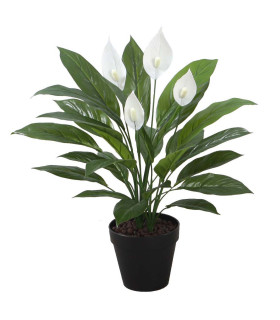 Искусственное растение SPATHE H60см, спатифиллум, чёрный горшок