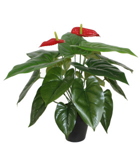 Kunsttaim ANTHURIUM, H45cm, flamingolill, must pott