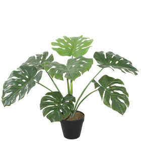 Искусственное растение MONSTERA H60см, чёрный горшок