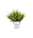 Roheline taim IN GARDEN D20xH25cm, rohulibled, plekkpott D10xH10cm, köiest sang
