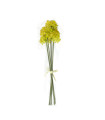 Цветок / лук IN GARDEN, H38cm, зеленый