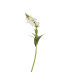 Искусственный цветок In GARDEN, H49см, белый