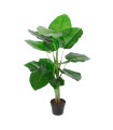Зеленое растение POTHOS, H90см