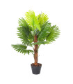 Зеленое растение FAN PALM, H100cm