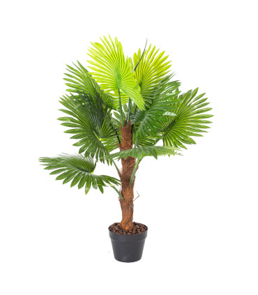 Зеленое растение FAN PALM, H100cm