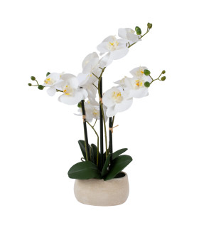 Белая орхидея с 4 ветками IN GARDEN, H55см, серый горшок
