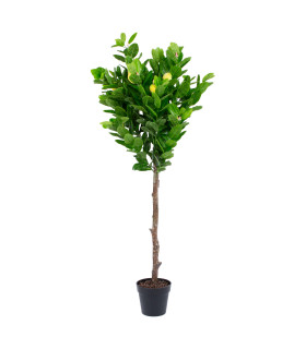 Kunstpuu LEMON, H145cm, sidrunipuu, must pott