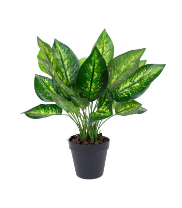 Kunsttaim DIEFFENBACHIA, H45cm, must pott