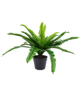 Kunsttaim BOSTON FERN, H60cm, sõnajalg, must pott