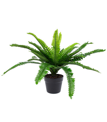 Kunsttaim BOSTON FERN, H60cm, sõnajalg, must pott