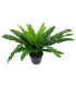 Kunsttaim BOSTON FERN, H60cm, sõnajalg, must pott