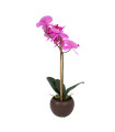 Lilla orhidee 1 oksaga IN GARDEN, H46cm, must pott