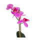 Lilla orhidee 1 oksaga IN GARDEN, H46cm, must pott