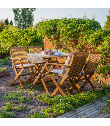 Aiamööblikomplekt FINLAY laud ja 4 käetugedega tooli