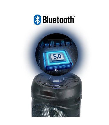 Bluetooth kõlar Manta SPK815