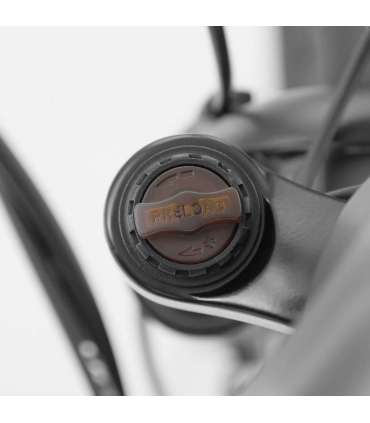 Elektrijalgratas HECHT LEONIS GRAY