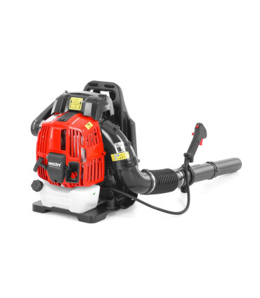 Lehepuhur HECHT 976 4T