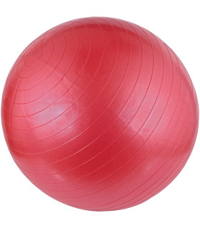 Võimlemispall Avento 42OB PNK