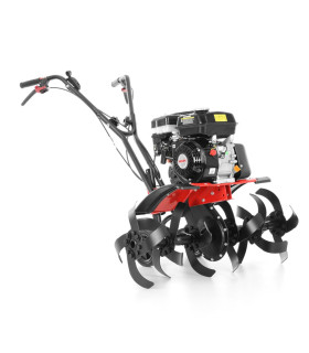 MULLAFREES HECHT 785