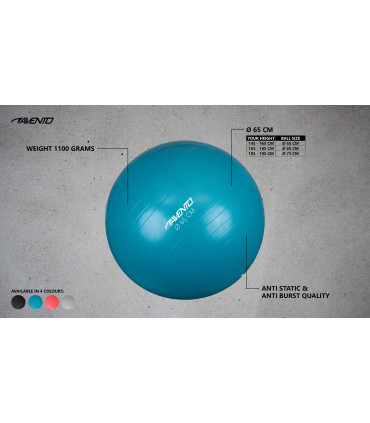 Võimlemispall Avento 42OB_BLK