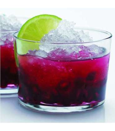 Gastroback 40986 Vital Pro