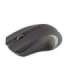 Sbox WM-373 Wireless Mouse  Black