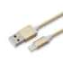Sbox USB 2.0 8 Pin IPH7-G gold