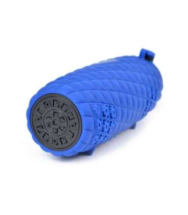 Toshiba Sonic Blast 2 TY-WSP80 Blue