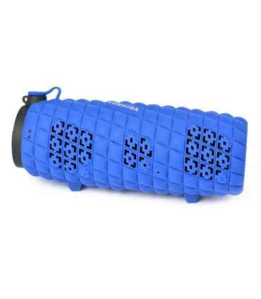 Toshiba Sonic Blast 2 TY-WSP80 Blue