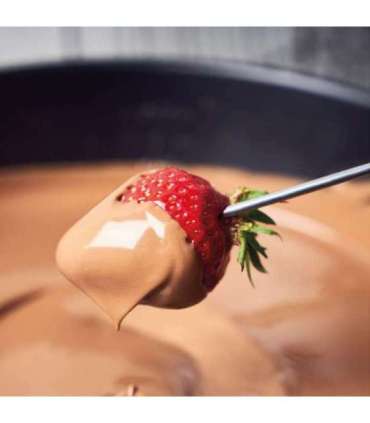 Gastroback 42566 Fondue Set