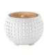 Ellia ARM-910WT-WW Gather Ultrasonic Essential Oil Diffuser
