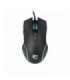 White Shark GM-5003 Gaming Mouse Azarah  Black