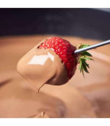 Gastroback 42567 Raclette Fondue Set Family and Friends