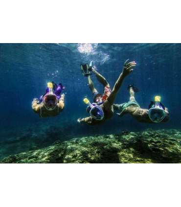 Free Breath Snorkeling Mask M2068G L/XL black