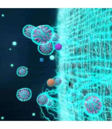 Gastroback 20100 Air Purifier AG+ AirProtect